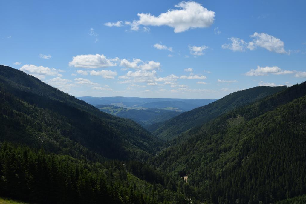 Apartmanovy Dom Romantika - Apartman 5 Tale Esterno foto